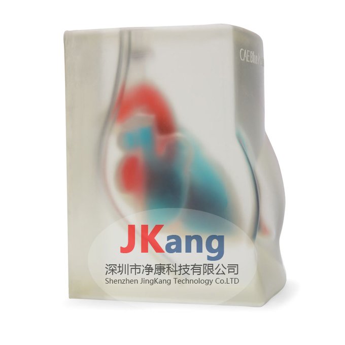 BPH700心臟超聲訓(xùn)練塊,CAE BPH700心臟回聲超聲訓(xùn)練模塊