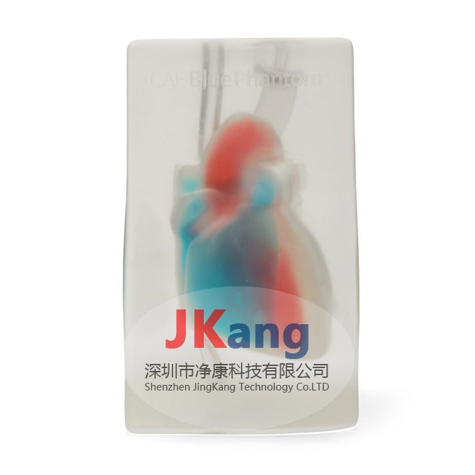 CAE Blue Phantom心臟回聲超聲訓(xùn)練模體,BPH700心臟超聲訓(xùn)練模體