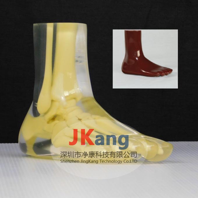 美國(guó)RSD RS-116腳模體，RS-116T透明腳模體