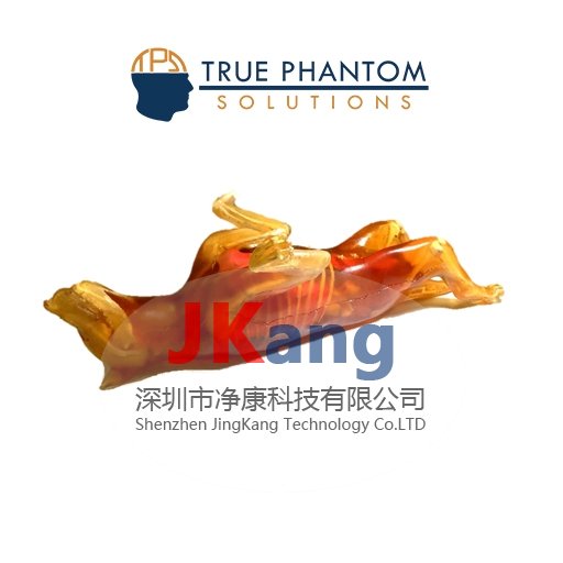 Dog Phantom成年母狗模體,牧羊犬模體,獸醫(yī)診斷成像培訓(xùn)模體,可定制