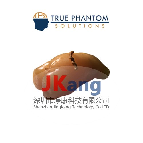 Truephantom US-NO1新生兒軀干超聲訓(xùn)練模體,US-NO1新生兒軀干超聲模體