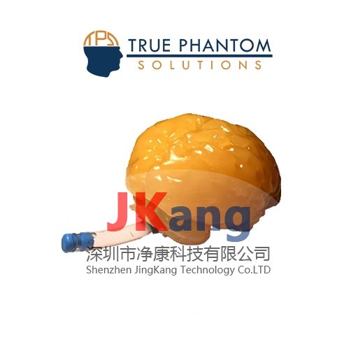 Truephantom BN-A01標(biāo)準(zhǔn)成人腦模體,適用于CT、MRI、超聲