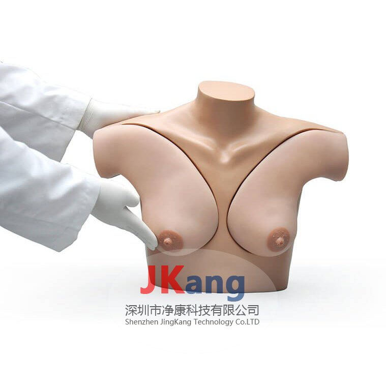Gaumard S230.40乳房觸診技巧教練模體,S230.40臨床教學模體