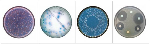 SCAN500菌落計(jì)數(shù)器，SCAN500自動(dòng)菌落計(jì)數(shù)器，Interscience菌落計(jì)數(shù)器