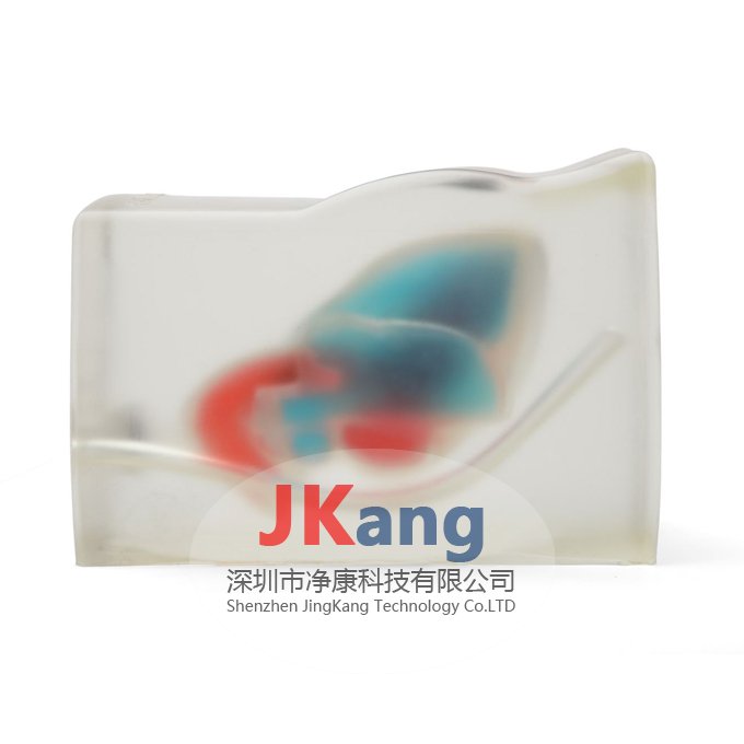 CAE Blue Phantom心臟回聲超聲訓(xùn)練模體,BPH700心臟超聲訓(xùn)練模體