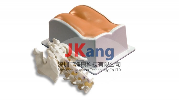 CIRS 034腰椎模體,CIRS 034穿刺訓(xùn)練模體