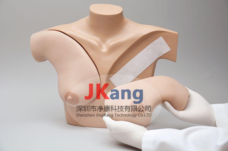 Gaumard S230.40乳房觸診技巧教練模體,S230.40臨床教學(xué)模體