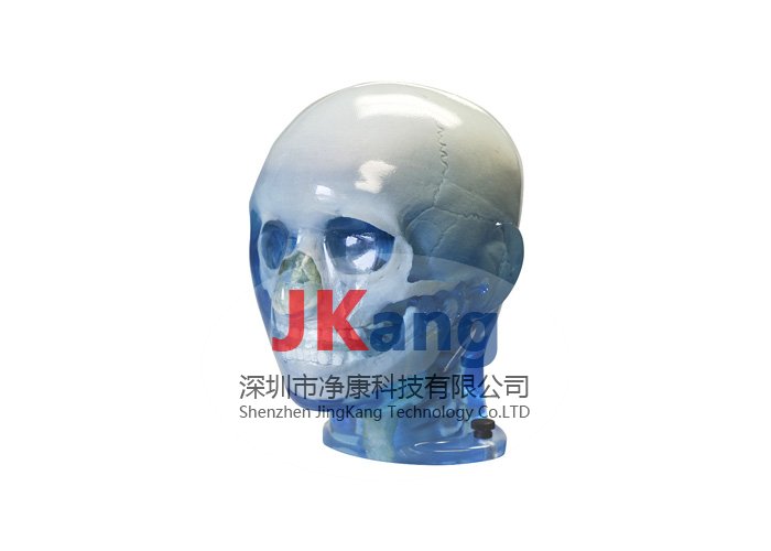 CIRS 715兒童仿真模體,CIRS 715兒科擬人訓(xùn)練模型