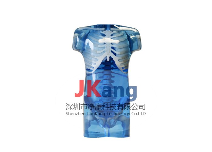 CIRS 715兒童仿真模體,CIRS 715兒科擬人訓(xùn)練模型