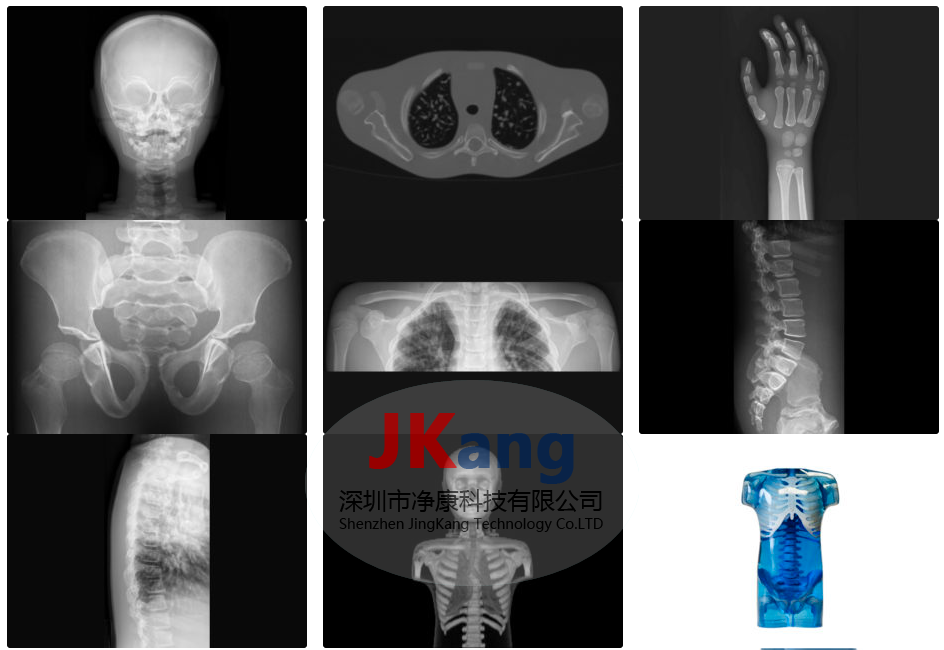 CIRS 715兒童仿真模體,CIRS 715兒科擬人訓(xùn)練模型