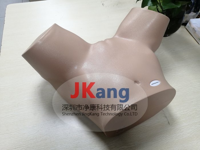BPOB1227經(jīng)陰道超聲訓(xùn)練模型,CAE BPOB1227超聲訓(xùn)練模體