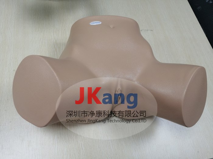 BPOB1227經(jīng)陰道超聲訓(xùn)練模型,CAE BPOB1227超聲訓(xùn)練模體