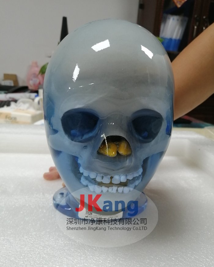 CIRS 715兒童仿真模體,715兒科擬人訓(xùn)練模型