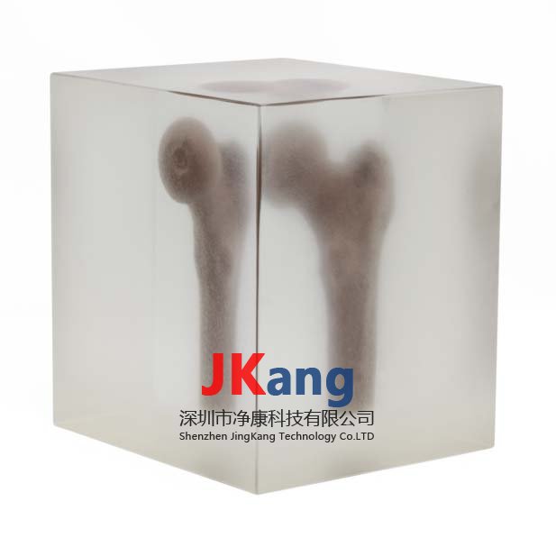 DXA 股骨模型,QRM-DXA-Spine-QA模體